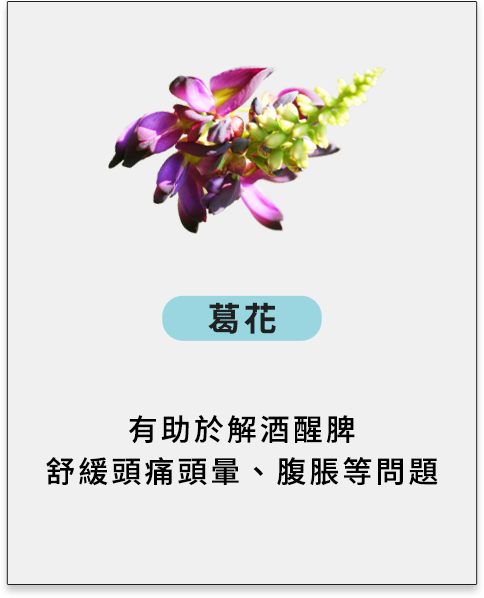 不用節食 輕鬆瘦 來自日本好安心 體重減 美纖葛花錠